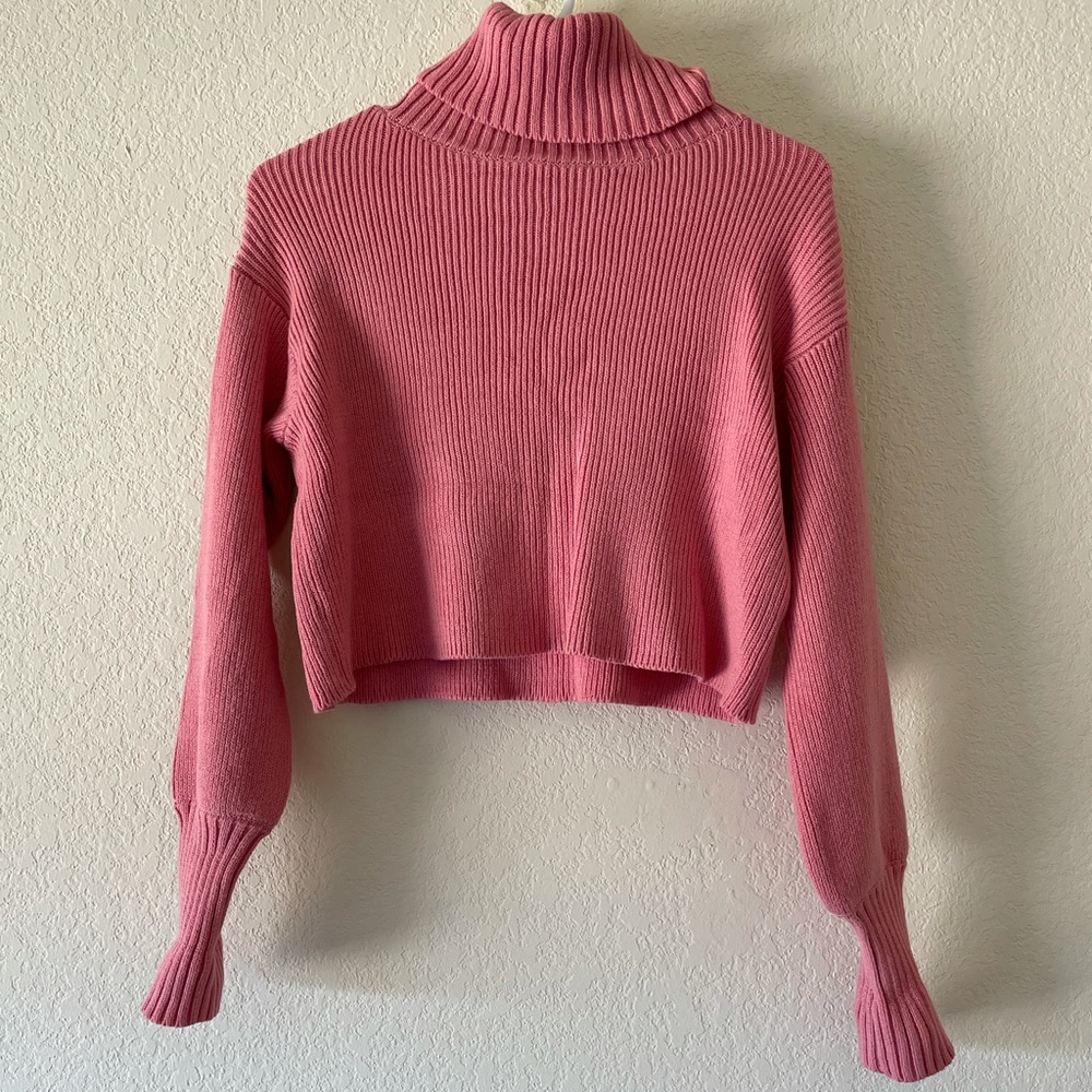 Cropped Turtle Neck